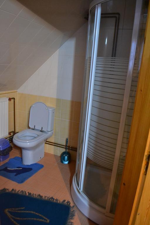 Apartment Sadiba Oprishok Laseschtschyna